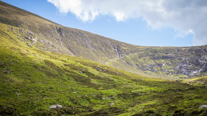 Mourne Mountains Peatland
